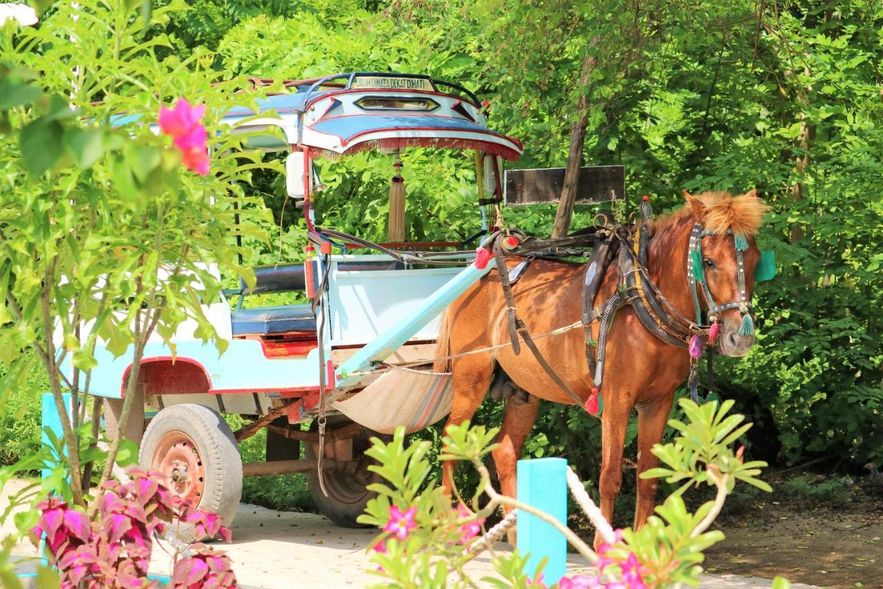 Meno Suites Gili Meno Eksteriør billede